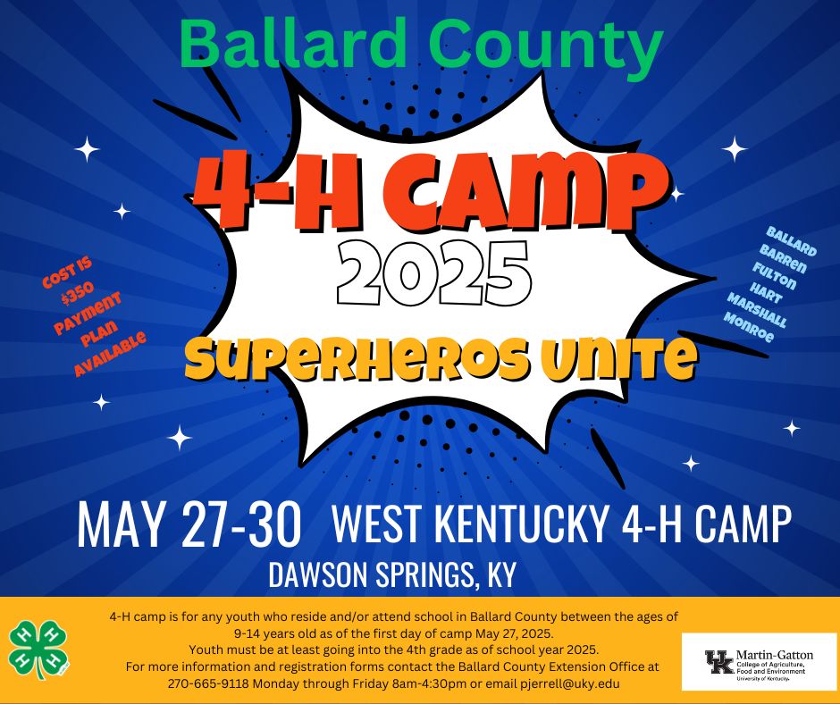 4-H Camp poster