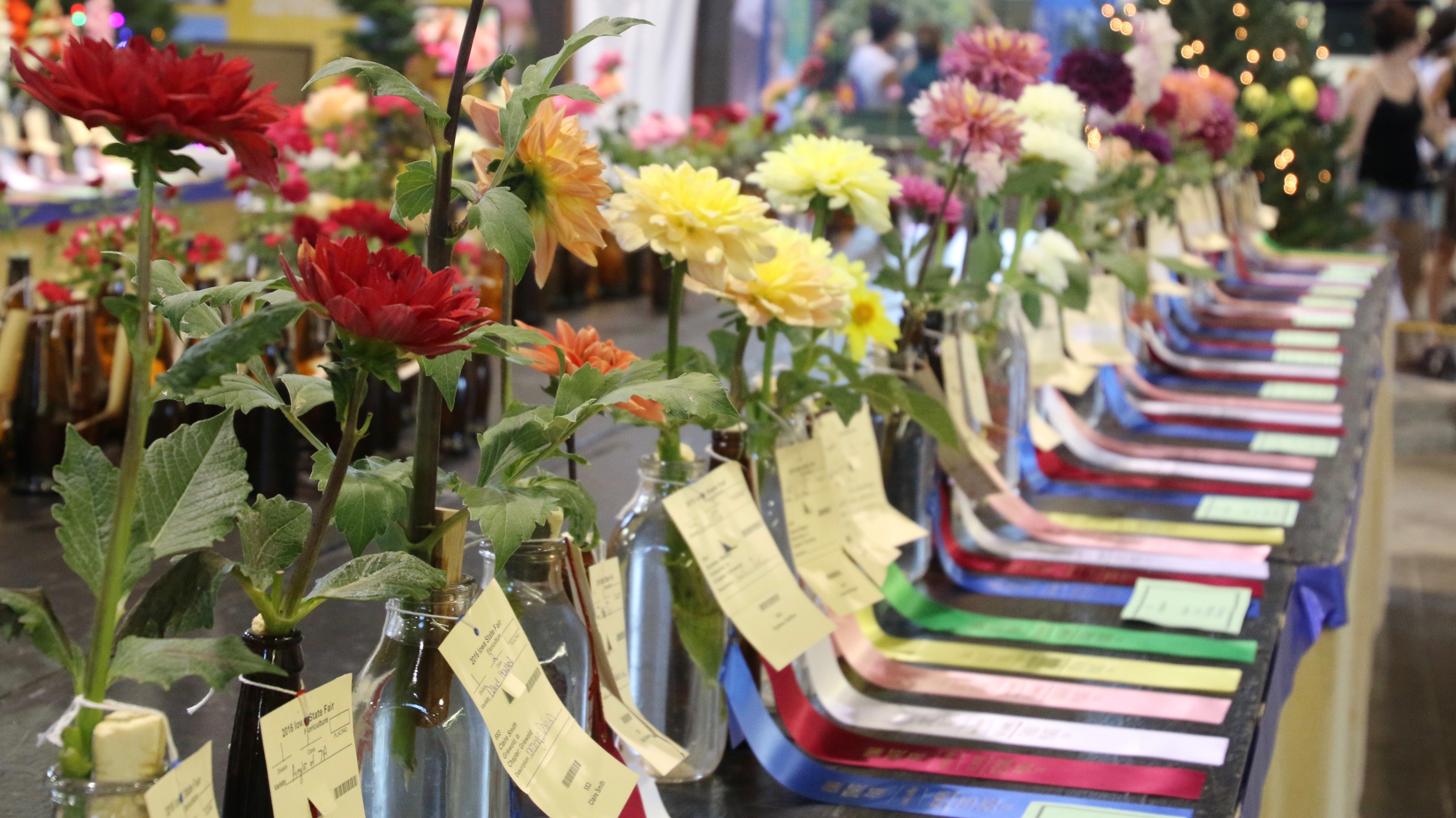 Fair ribbons and flowers