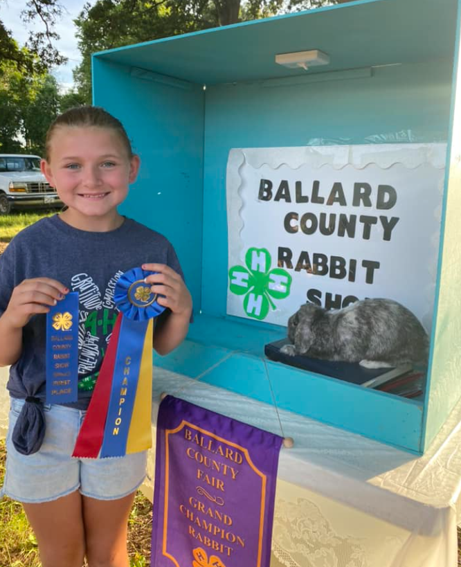 4-H county fair 